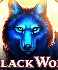 Black wolf slot game